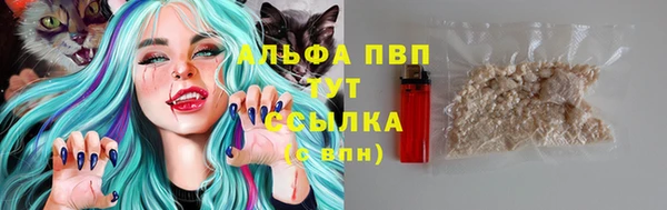 скорость Алексин