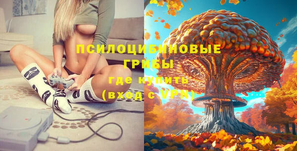 скорость Алексин
