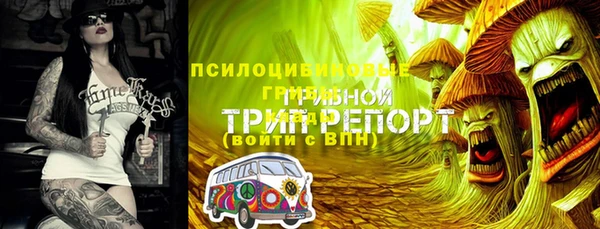 экстази Алзамай