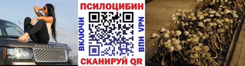 цены наркотик  это клад  Псилоцибиновые грибы ЛСД  Катав-Ивановск 