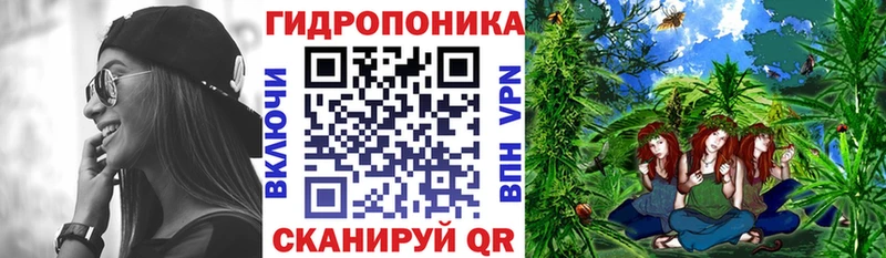 Конопля Amnesia  закладки  Катав-Ивановск 